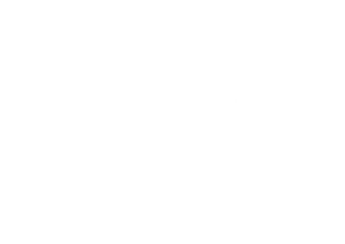 Guimarães Castro